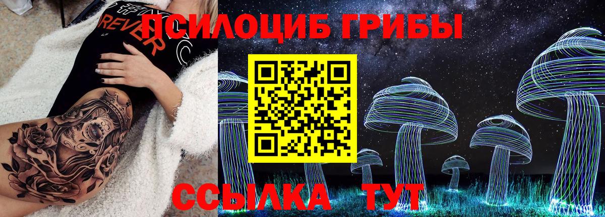 Псилоцибиновые грибы Magic Shrooms Гудермес