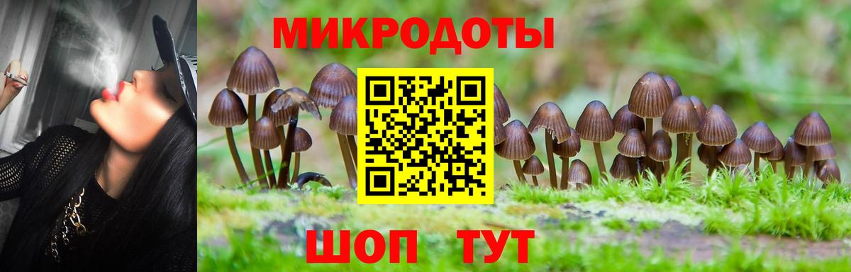 купить   Вход с VPN  Псилоцибиновые грибы Psilocybe  Гудермес  Галлюциногенные грибы Psilocybe 